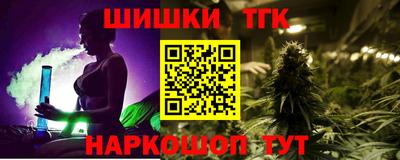 стаф Шелехов