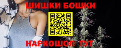 стаф Шелехов
