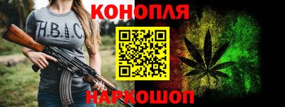 стаф Шелехов