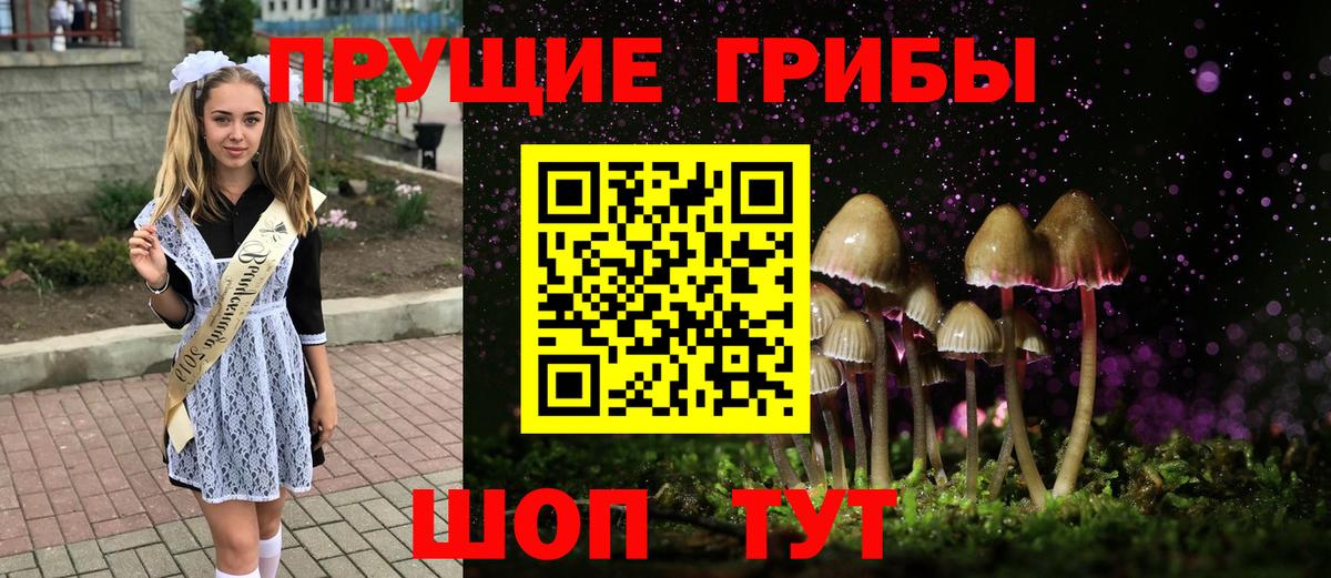 Галлюциногенные грибы Psilocybe Волгоград